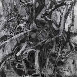 Mangrove Tangle by Annie Helmericks Louder