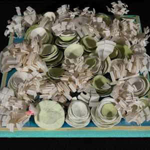 A Sketch: Study for Corals by Caroline Court