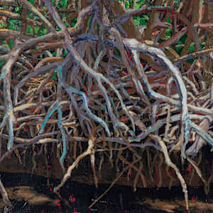 Everglades Nursery: Low Tide by John Louder