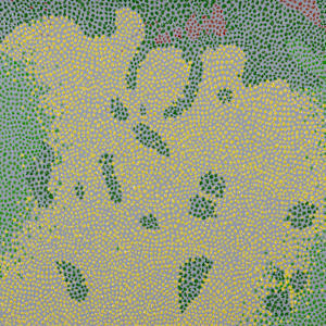 Florida Bay(saw grass die off 2016) by Jason Hedges