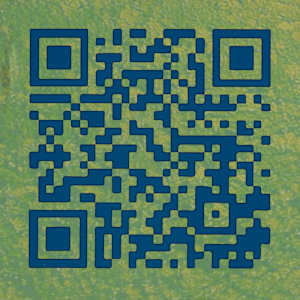 Flight by Wendy Call