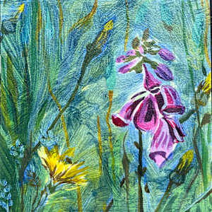 Tiny Fuchsia & Yellow by Virginia Dixon