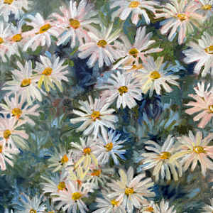 Spring  Daisies by Rachel Houlihan