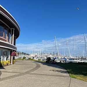 Lake Union Marina by Lisa Graff, Image 3.