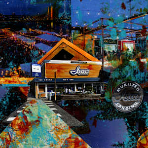 Ivar's Night Life by Lisa Graff