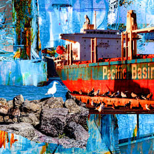 Pacific Basin by Lisa Graff