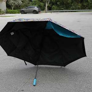 Umbrella (painted) by Randall Mass, Image 1.