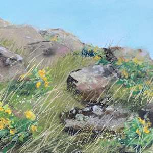 Basalt And Balsamroot by Gretha Lindwood
