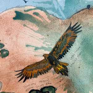 Great Eagles at Parker River by Dr Phillip B. Roös, Image 3.