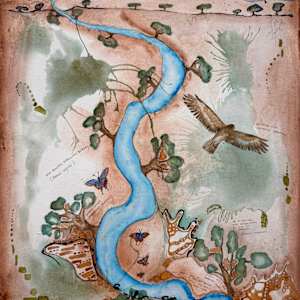 Whistling Kite at Geary River by Dr Phillip B. Roös, Image 1.