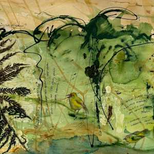 Forest Waters and Ferns by Dr Phillip B. Roös, Image 5.