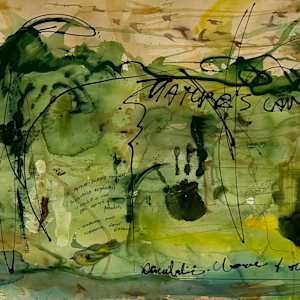 Forest Waters and Ferns by Dr Phillip B. Roös, Image 2.