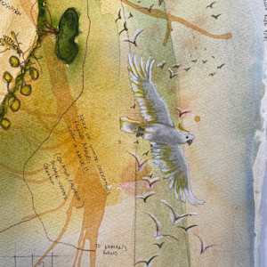 Unintended by Dr Phillip B. Roös, Image 2.