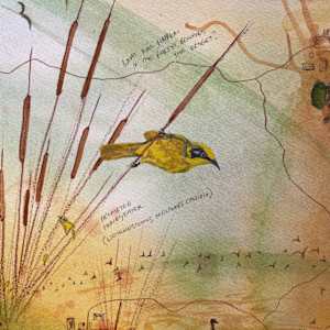 Unintended by Dr Phillip B. Roös, Image 4.