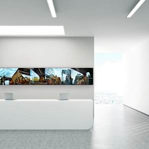 Dumbo and Barbs #1 by Susan Bowen 