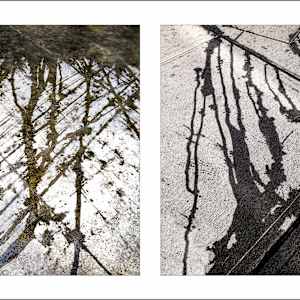 Spills Diptych #11: Drips Up and Down by Susan Bowen