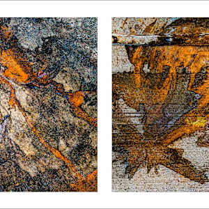 Spills Diptych #15: Coffee Ground Abstract (framed) 1/15 by Susan Bowen 