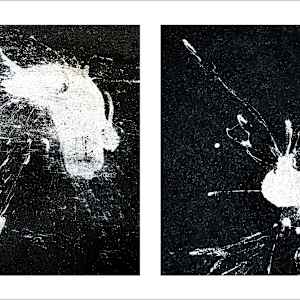 Spills Diptych #05: Conversing White Blobs 1/25 by Susan Bowen 