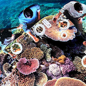 Aquaculture by Riley Peterson