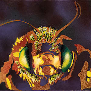 Portrait of a Pollinator Number 1 by Eric Reou