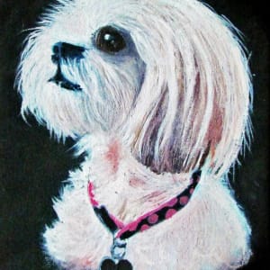 Robin's Tasha by Diane K. Hewitt 