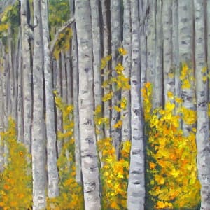 Bashful Pine In The Aspens by Diane K. Hewitt