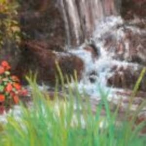 Meditation Garden by Diane K. Hewitt