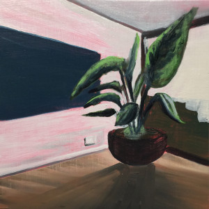 Plant in a room by Mathew Tucker