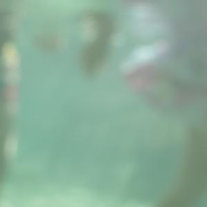 Skelly Tidal Pool III by Danielle-Raye Bischoff