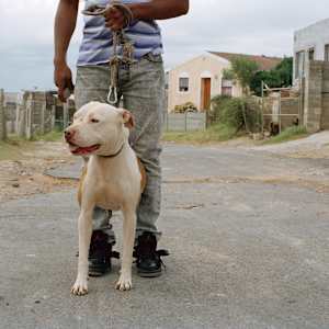 ‘Sasha' by Danielle-Raye  Bischoff