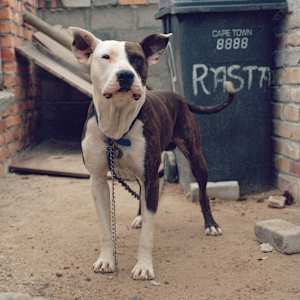 ‘Buya' by Danielle-Raye  Bischoff