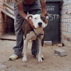 ‘Buya II' by Danielle-Raye  Bischoff