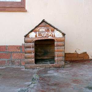 ‘Lucky' by Danielle-Raye  Bischoff 