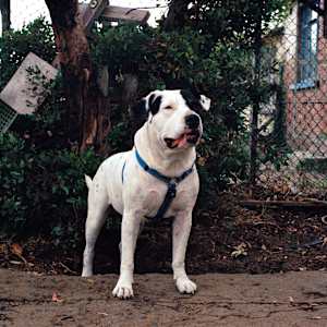 ‘Player I' by Danielle-Raye  Bischoff