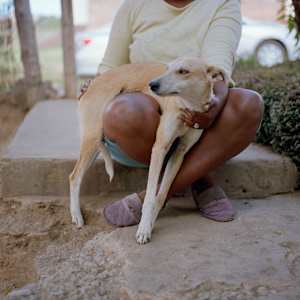 ‘Spring' by Danielle-Raye  Bischoff