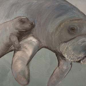 Momma and Calf by Lora Wood 