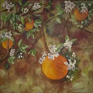 Rawlings State Park - Orange Tree by Lora Wood