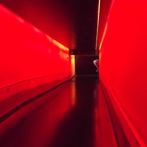 Red Hall by Lora Wood