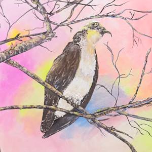 Osprey At Sister's Creek by Lora Wood