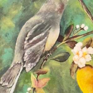 Quintessential Florida by Lora Wood 