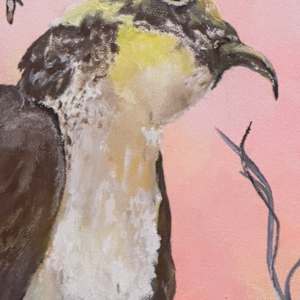 Osprey At Sister's Creek by Lora Wood