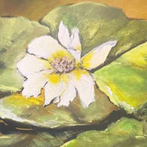 Lilies on the Prairie by Lora Wood
