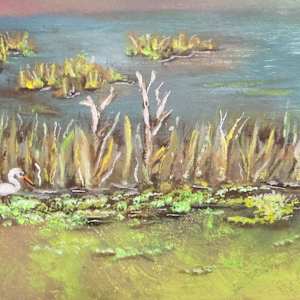 Apopka Wetlands by Lora Wood 