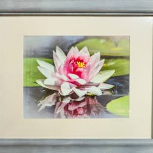 Framed Floral Dream by Lora Wood