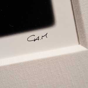 I'm Not Your Boris! by Christoph A. Michaelis  Image: signature