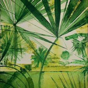 Safari Yucatan by Victor Andre Vera
