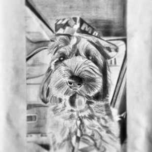 Merlin by Victor Vera