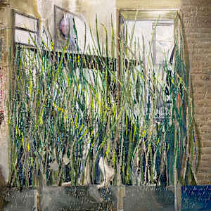 Tenet by Micky Focke