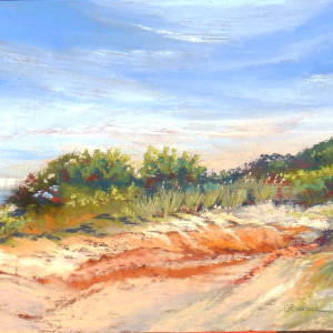 Coastal Dunes Morning View by Ginny Burdick