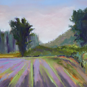 Looking Across the Fields by Ginny Burdick